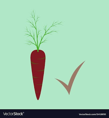 Carrot flat icon carrot icon on background veg vector image