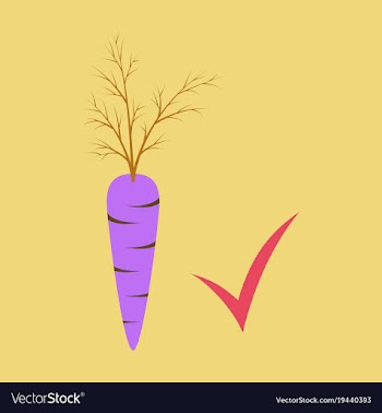 Carrot flat icon carrot icon on background veg vector image