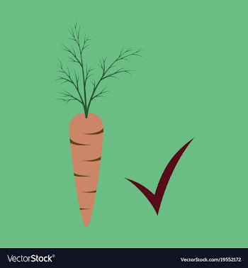 Carrot flat icon carrot icon on background veg vector image
