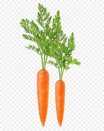 Carrot harvester Leaf vegetable Food - Carrots vegetables 