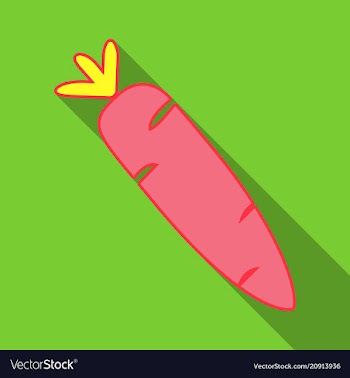 Carrot icon organic vector image