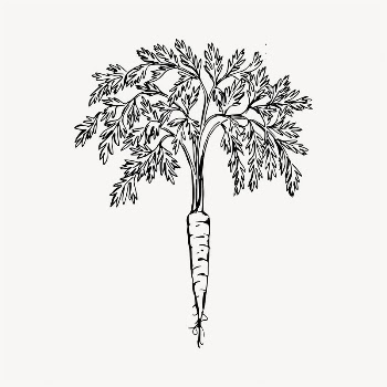Carrot illustration clipart vector. Free | Free Vector - rawpixel