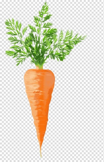 Carrot illustration, Juice Carrot cake Vegetable, carrot transparent background PNG clipart