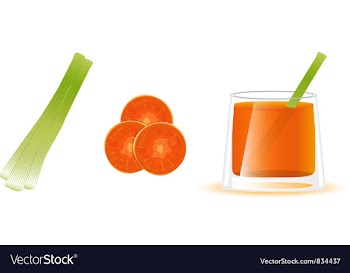 Carrot juice vector image