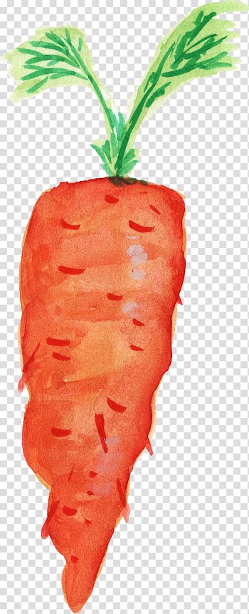 Carrot Organic food Watercolor Vegetable, watercolor leaves transparent background PNG clipart