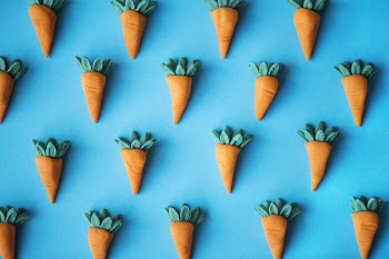 Carrot Plush Toys