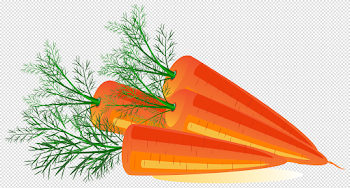 Carrot PNG image free download