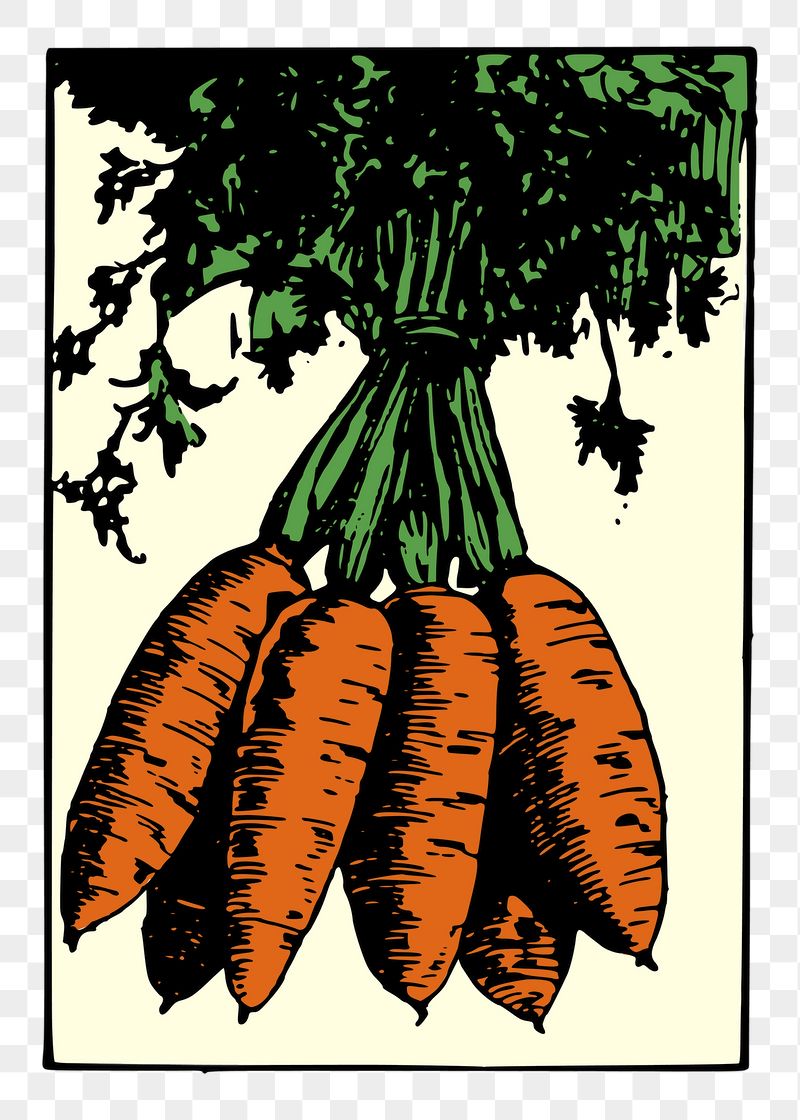 Carrot png sticker illustration, transparent | Free PNG - rawpixel