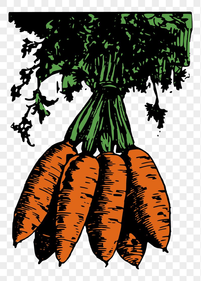 Carrot png sticker illustration, transparent | Free PNG - rawpixel