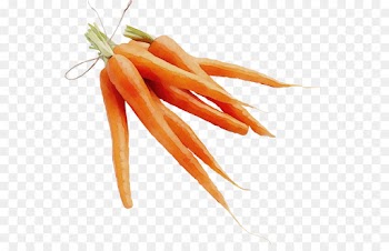 carrot root vegetable food vegetable baby carrot