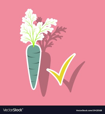 Carrot sticker icon carrot icon on background veg vector image