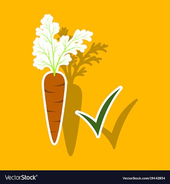 Carrot sticker icon carrot icon on background veg vector image