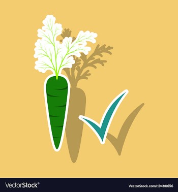 Carrot sticker icon carrot icon on background veg vector image