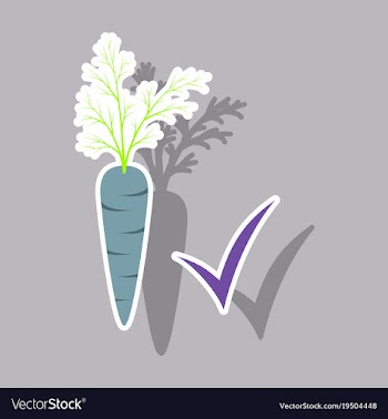 Carrot sticker icon carrot icon on background veg vector image