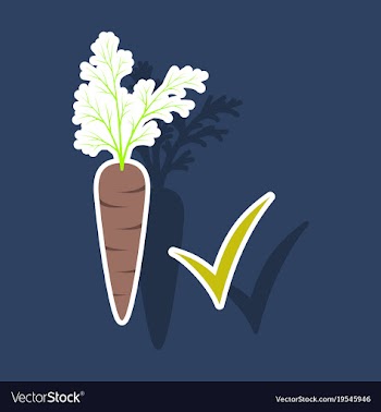 Carrot sticker icon carrot icon on background veg vector image