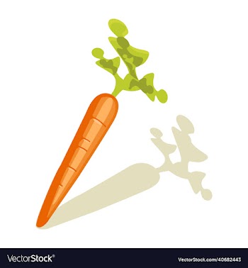 carrot vegetable