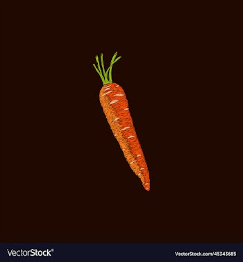 carrot vegetable artwork style design