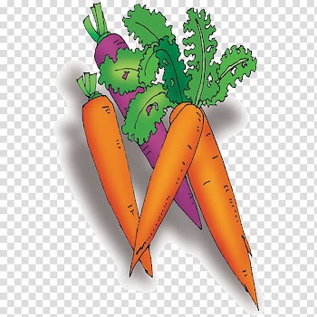 Carrot Vegetable Cartoon, Vegetable carrot transparent background PNG clipart
