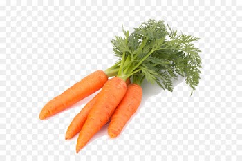 Carrot Vegetable Computer file - Carrot Png 