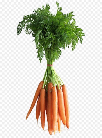 Carrot Vegetable Computer file - Carrots PNG Clipart Picture 
