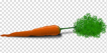 Carrot Vegetable , Creative Carrots transparent background PNG clipart