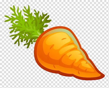 Carrot Vegetable Drawing Child Fruit, carrot transparent background PNG clipart