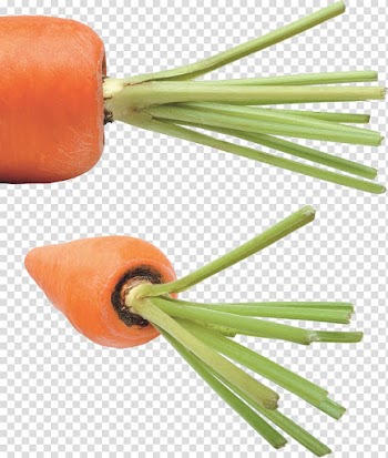 Carrot Vegetable Food , Carrot transparent background PNG clipart