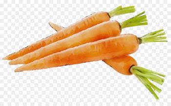 carrot vegetable food root vegetable baby carrot