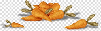 Carrot Vegetable Fruit, A Carrot transparent background PNG clipart