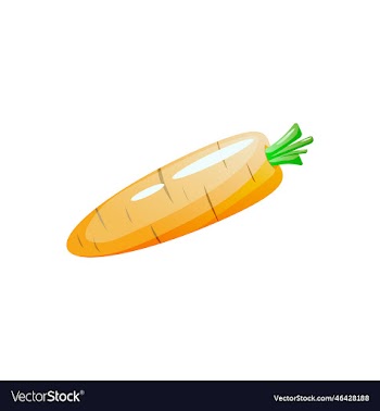carrot vegetable icon