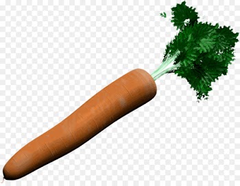 Carrot Vegetable Knackwurst - carotte 