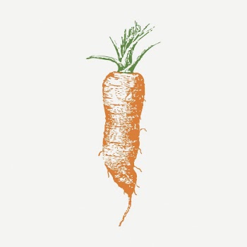 Carrot vintage clipart, vegetable  | Free PSD - rawpixel