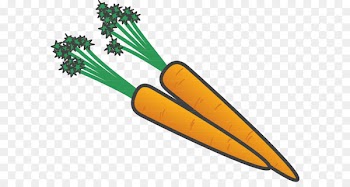 Carrot Vitamin A beta-Carotene Chemistry - cenouras flyer 
