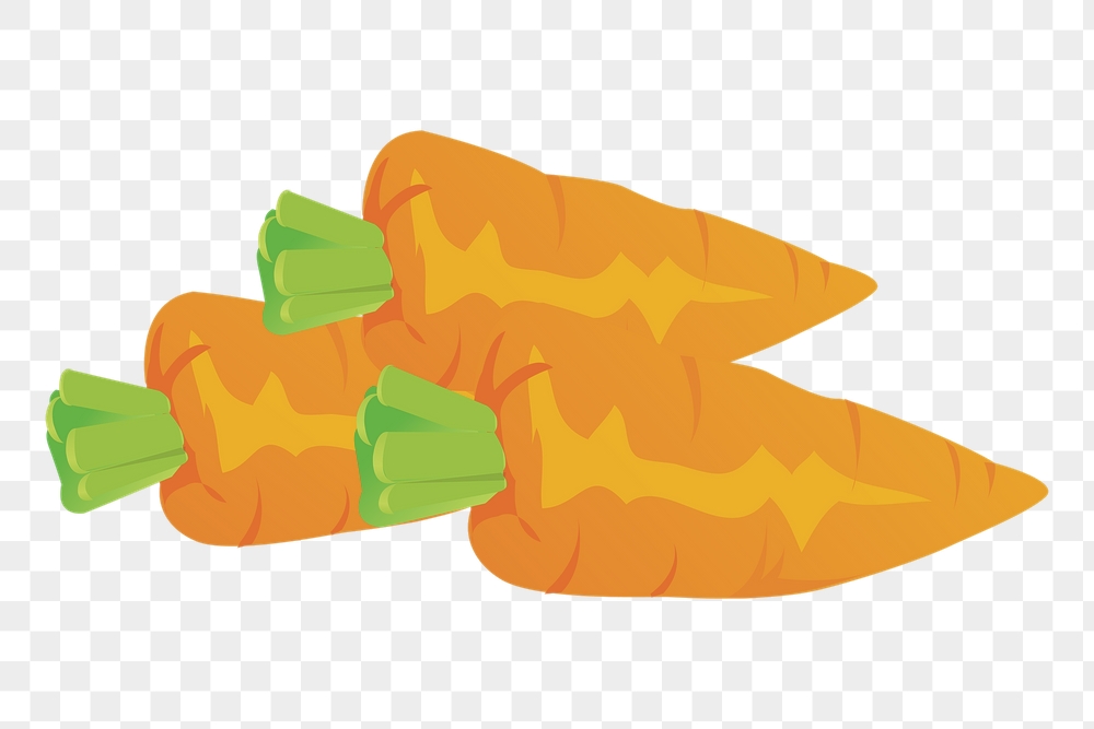 Carrots png sticker, vegetable illustration, | Free PNG - rawpixel