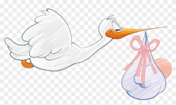 Carrying Baby Girl - Stork In Hat Carrying Baby