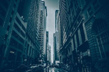 cars of road between buildings on vignette photography
