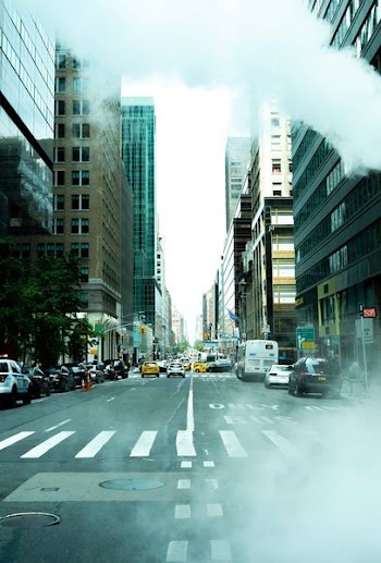 cars on asphalt road