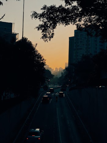 Cars on Road Between Buildings during Golden Hour