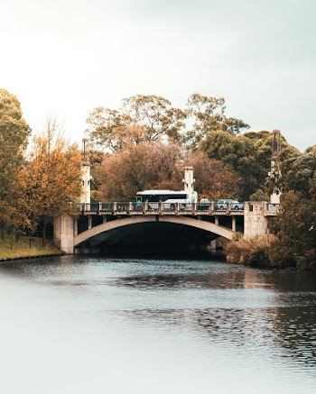 Cars on Top of Bridge