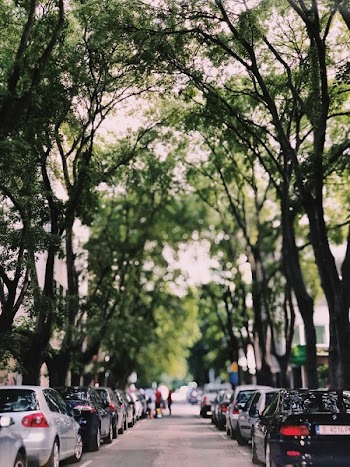 Cars Parked On Side Of Road