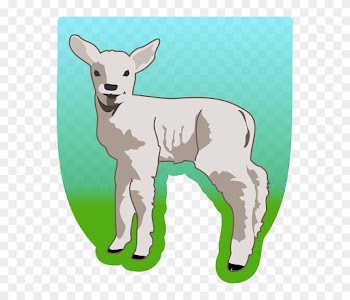 Cartoon Animals, Small, Outline, Drawing, Young, Cartoon - Baby Lamb Shower Curtain