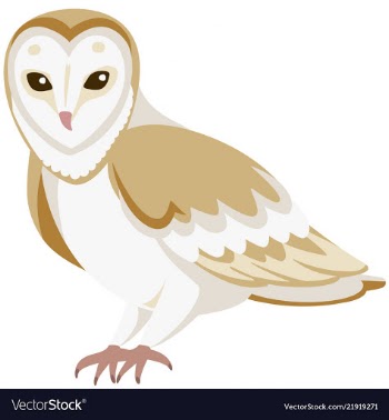 Cartoon barn owl vector image
