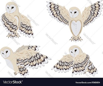 Cartoon Barn Owl3 vector image