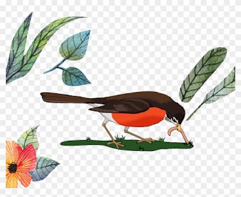 Cartoon Bird 1433*1200 Transprent Png Free Download - Cartoon Bird 1433*1200 Transprent Png Free Download