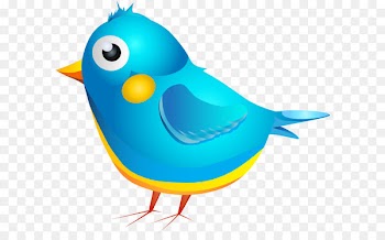 Cartoon Bird Clip art - Blue Bird Cartoon Transparent PNG Image 