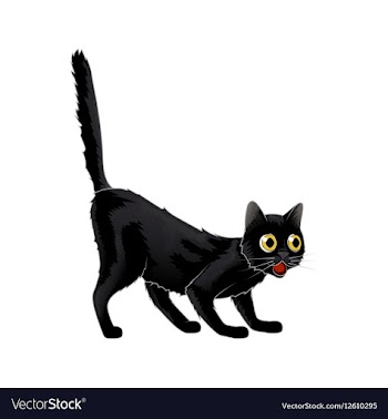 Cartoon Black Cat in shock she was vector image