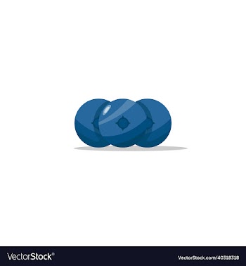 cartoon blueberry fruit
