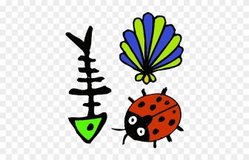 Cartoon Clip Art - Ladybird Beetle