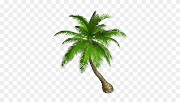 Cartoon Coconut Tree Png - Two Girls On A Mission