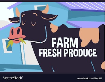 Cartoon cow vector image